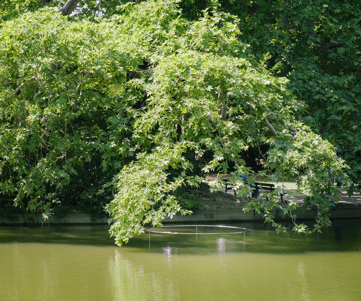Fontaine « O » : cercle en inox posé sur le lac, sous les arbres du parc de la Maison Blanche à Marseille