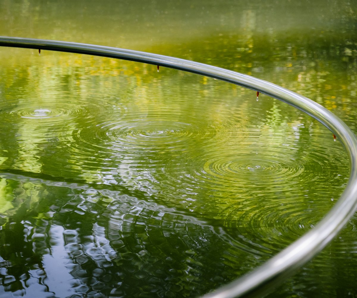 Gouttes d'eau tombant du cercle en inox poli miroir, ondulations sur le lac
